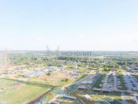 2-komnatnaya-derevnya-ankudinovka-kstovskiy-rayon фото