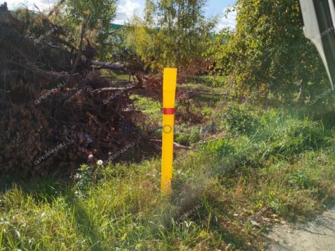 novinskiy-selsovet фото