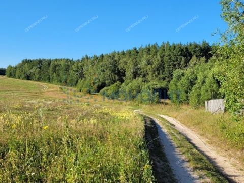 dom-derevnya-yagodnaya-gorodskoy-okrug-chkalovsk фото