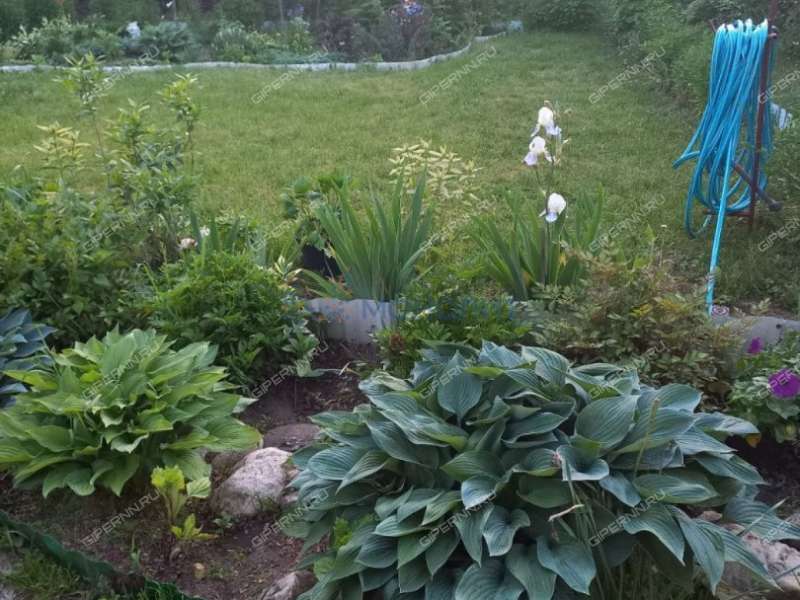 дача на улице Массив-2 город Бор