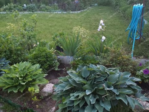 dacha-snt-vodnik-2-gorodskoy-okrug-bor фото