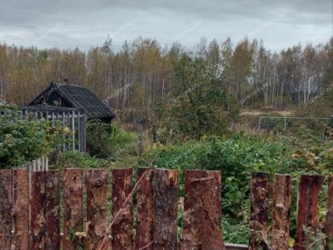 dom-derevnya-shhelkovo-pavlovskiy-municipalnyy-okrug фото