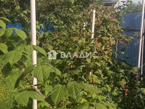 dom-derevnya-tkalino-gorodeckiy-rayon фото
