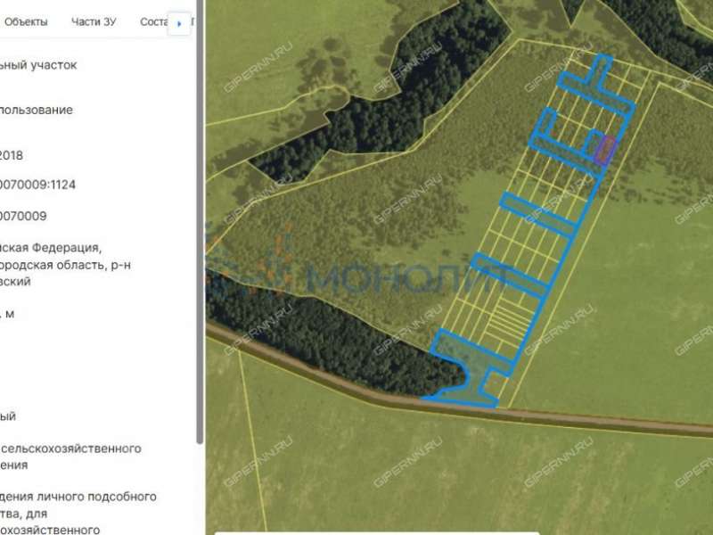 земельный участок под сельхоз назначение в Дивеевском районе Нижегородской области