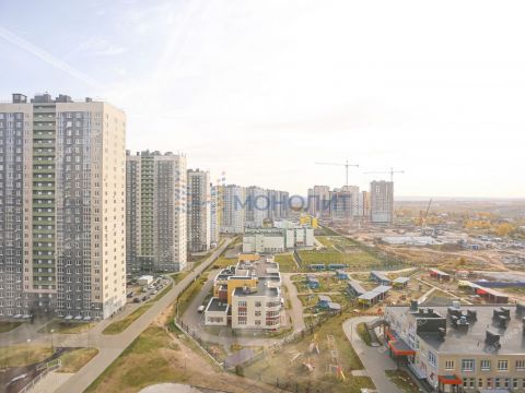 1-komnatnaya-derevnya-ankudinovka-kstovskiy-rayon фото