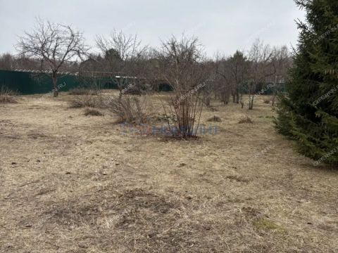 derevnya-kozhevennoe-bogorodskiy-municipalnyy-okrug фото