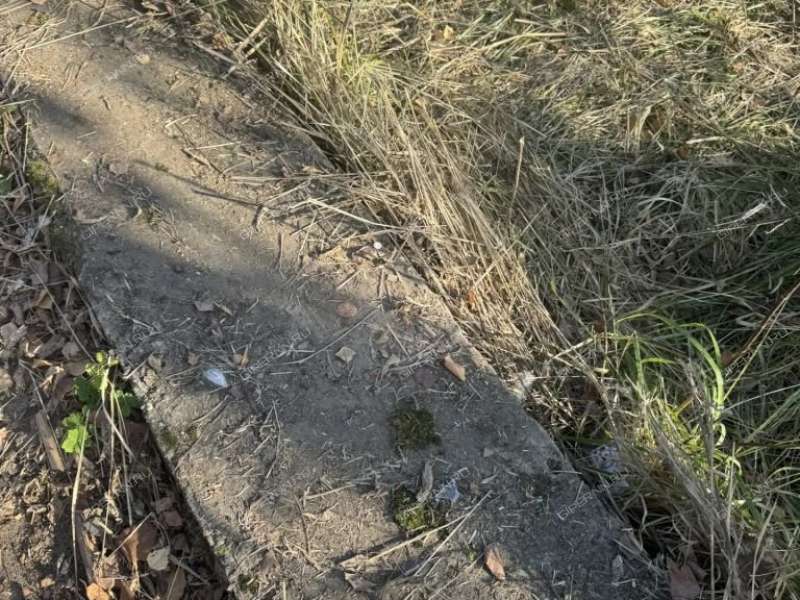 дом на Широкой улице село Спирино