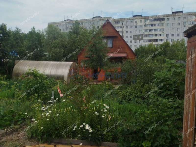 дача на СНТ Цепник