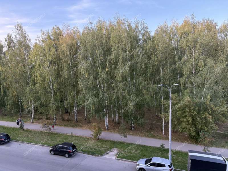 двухкомнатная квартира на Парковой улице дом 6 город Кстово