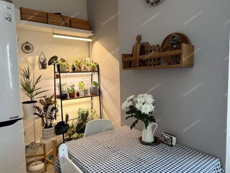 двухкомнатная квартира на улице Русская дом 7 Анкудиновка