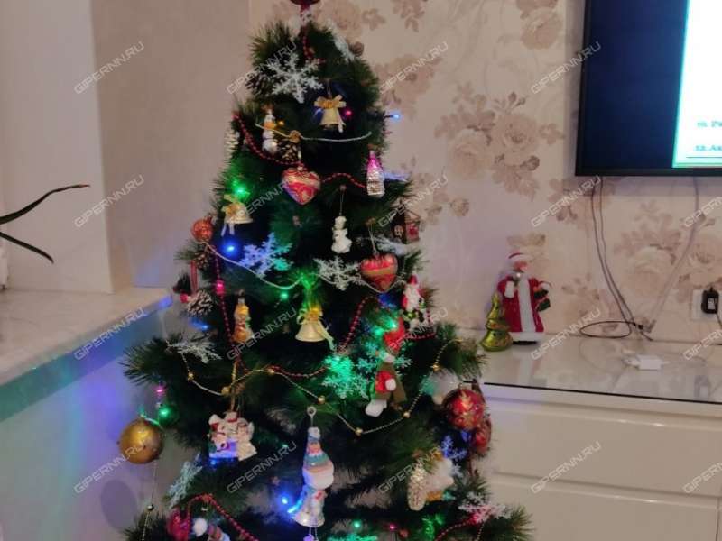 дом на Светлой улице деревня Малая Ельня