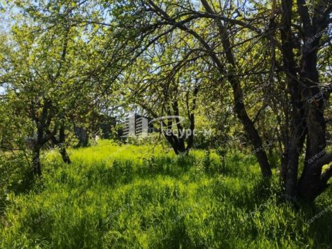 dom-rabochiy-poselok-shimorskoe-gorodskoy-okrug-vyksa фото
