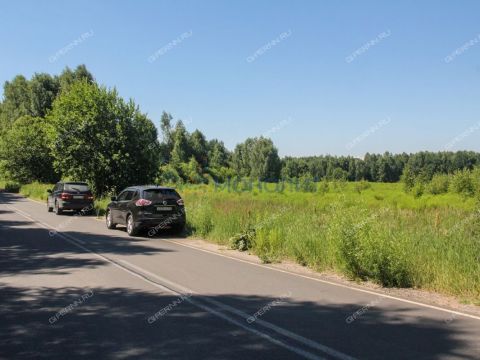 derevnya-kruglovo-gorodskoy-okrug-bor фото
