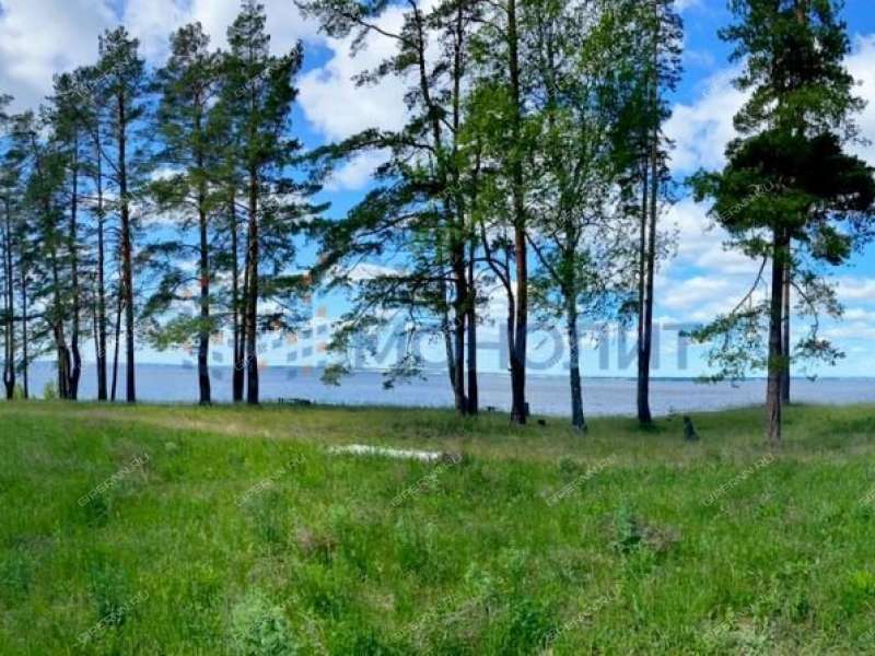 земельный участок 20 соток - деревня Фалино-Пестово