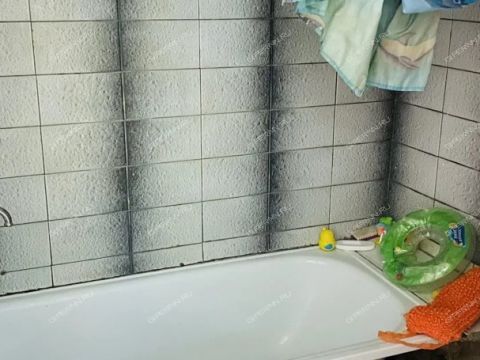 ul-yuliusa-fuchika-d-12 фото