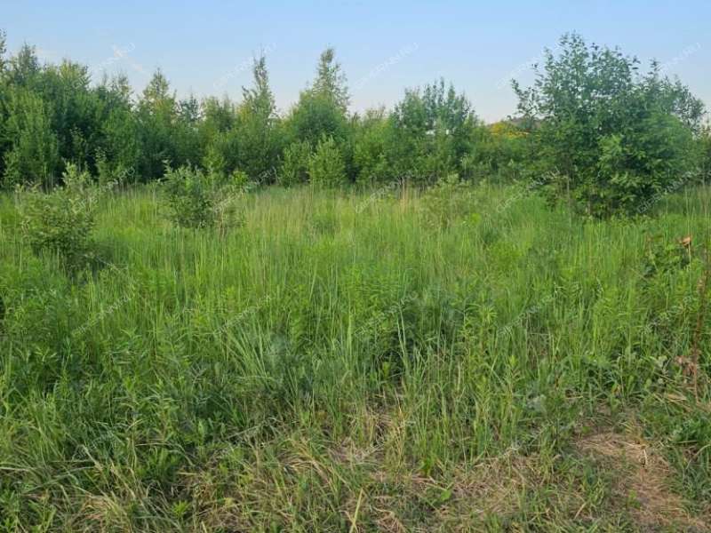 земельный участок 10 соток Лесная село Елховка