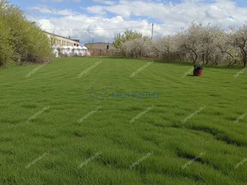дом на Центральной улице село Каменки