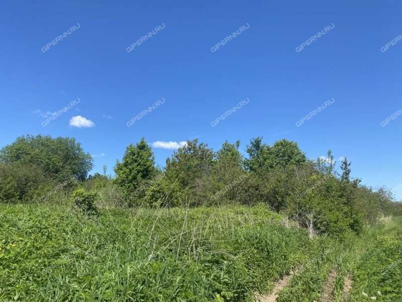 земельный участок 16 соток Дачная улица село Бармино