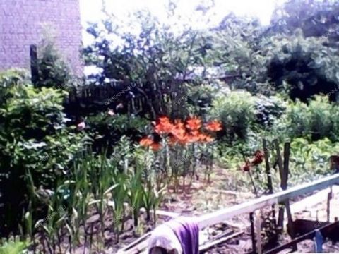 1-komnatnaya-selo-diveevo-diveevskiy-municipalnyy-okrug фото