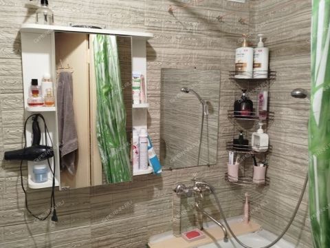 1-komnatnaya-gorod-zavolzhe-gorodeckiy-rayon фото